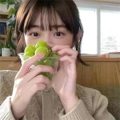 北极大冒险